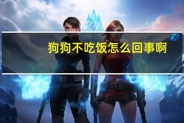 狗狗不吃饭怎么回事啊