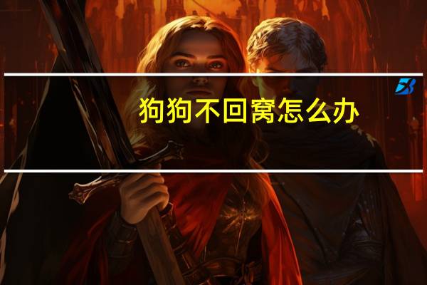 狗狗不回窝怎么办