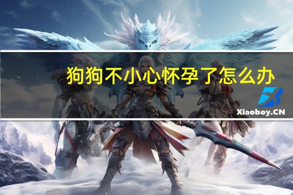 狗狗不小心怀孕了怎么办