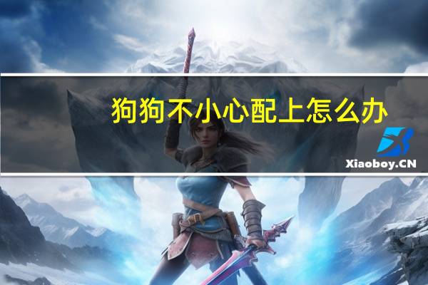 狗狗不小心配上怎么办