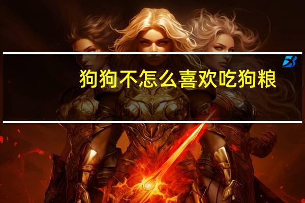 狗狗不怎么喜欢吃狗粮