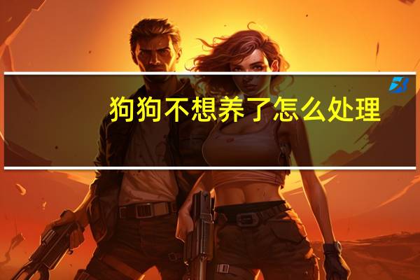 狗狗不想养了怎么处理