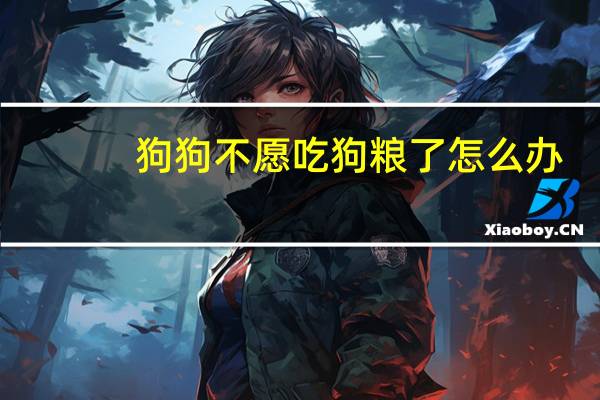 狗狗不愿吃狗粮了怎么办