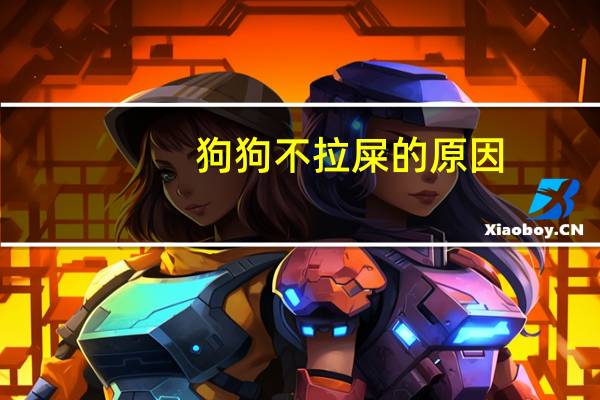 狗狗不拉屎的原因