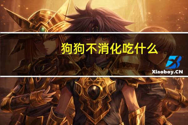 狗狗不消化吃什么