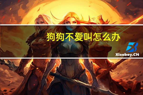 狗狗不爱叫怎么办