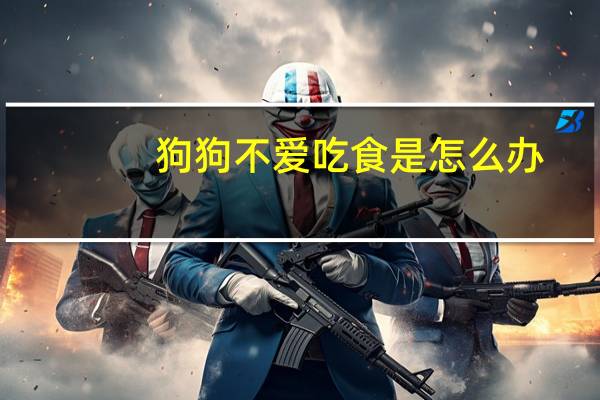 狗狗不爱吃食是怎么办