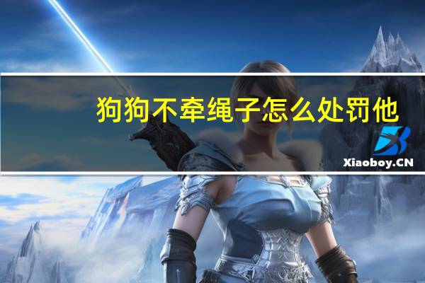 狗狗不牵绳子怎么处罚他