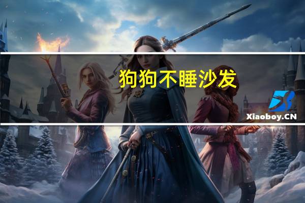 狗狗不睡沙发