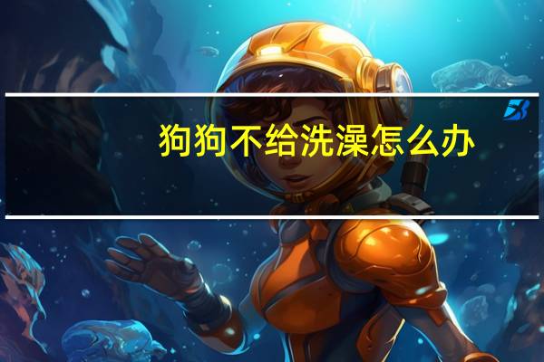 狗狗不给洗澡怎么办