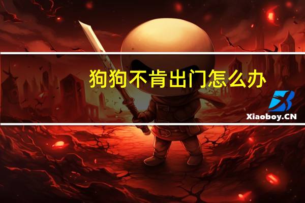 狗狗不肯出门怎么办
