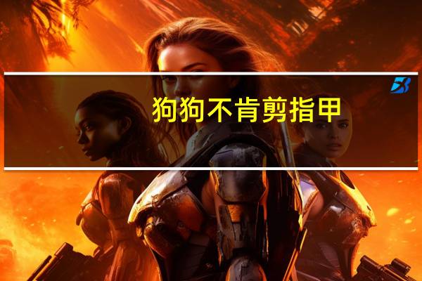 狗狗不肯剪指甲