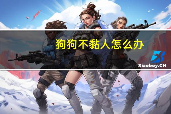 狗狗不黏人怎么办