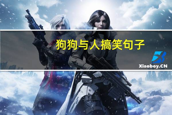 狗狗与人搞笑句子