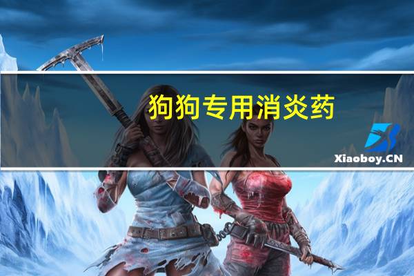 狗狗专用消炎药