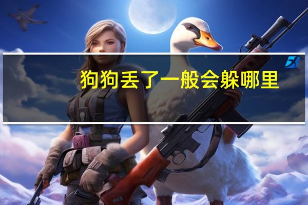 狗狗丢了一般会躲哪里