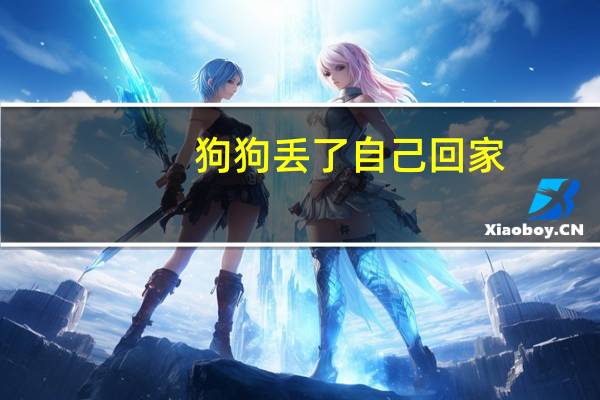 狗狗丢了自己回家
