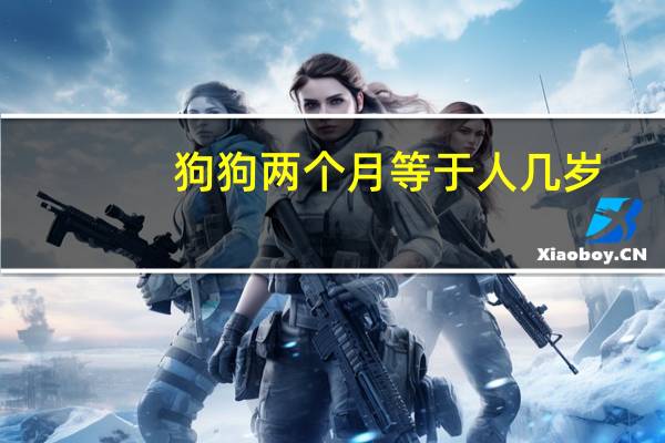 狗狗两个月等于人几岁