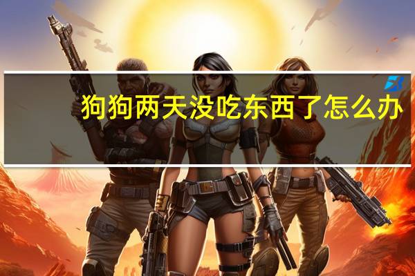 狗狗两天没吃东西了怎么办