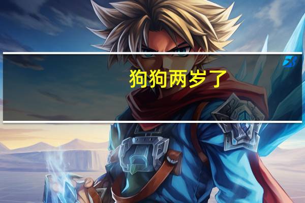 狗狗两岁了