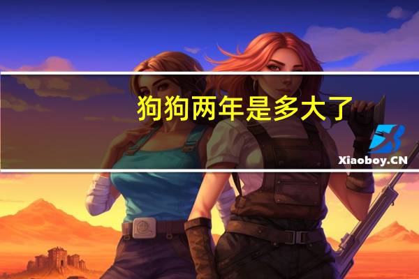狗狗两年是多大了