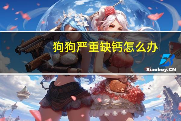 狗狗严重缺钙怎么办