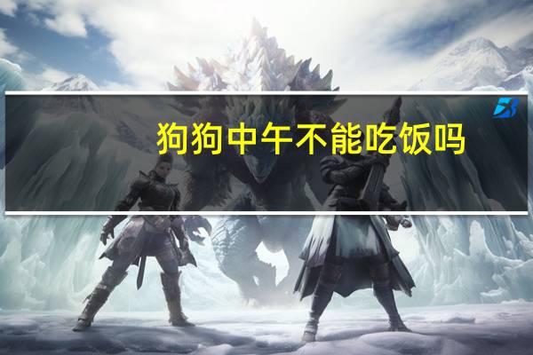 狗狗中午不能吃饭吗