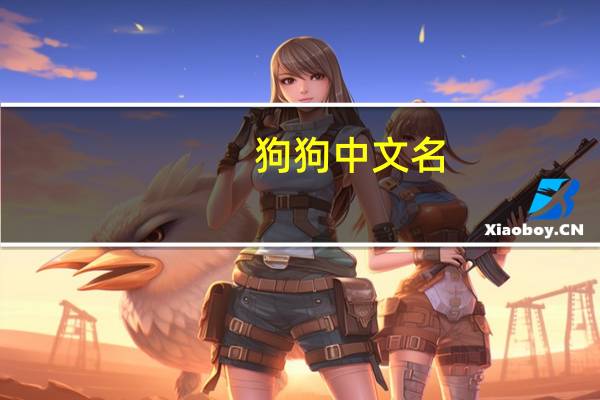 狗狗中文名