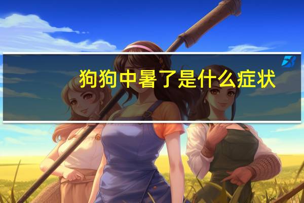 狗狗中暑了是什么症状