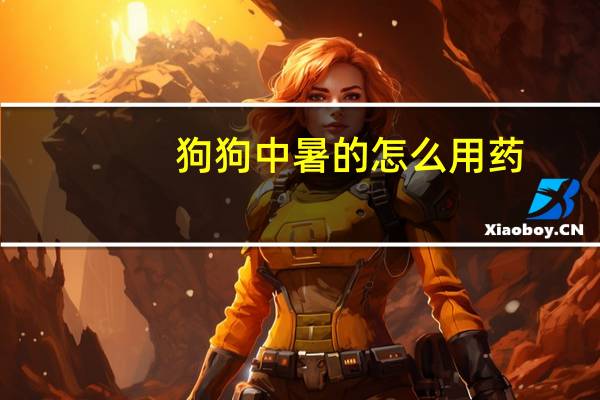 狗狗中暑的怎么用药