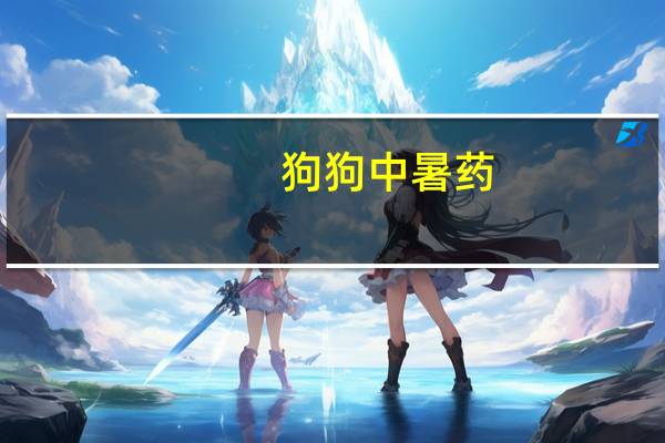 狗狗中暑药