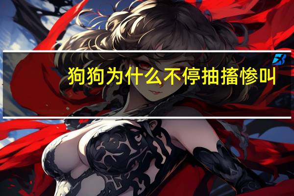 狗狗为什么不停抽搐惨叫