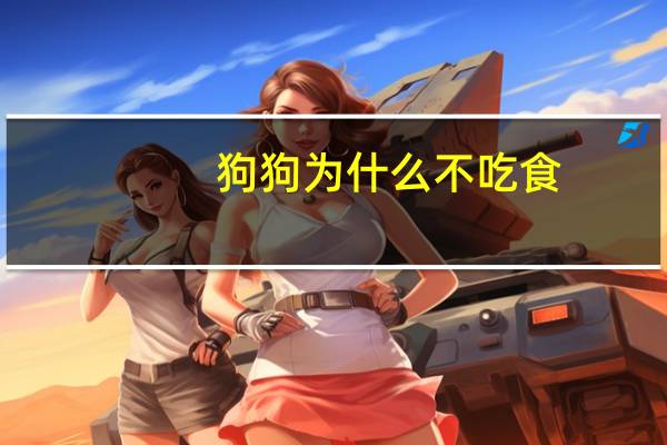 狗狗为什么不吃食