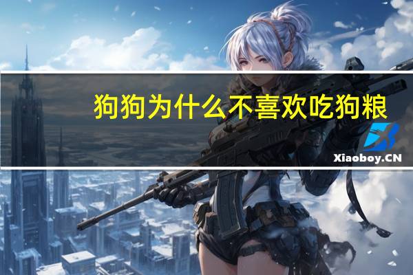 狗狗为什么不喜欢吃狗粮