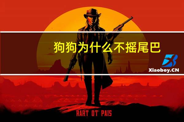 狗狗为什么不摇尾巴