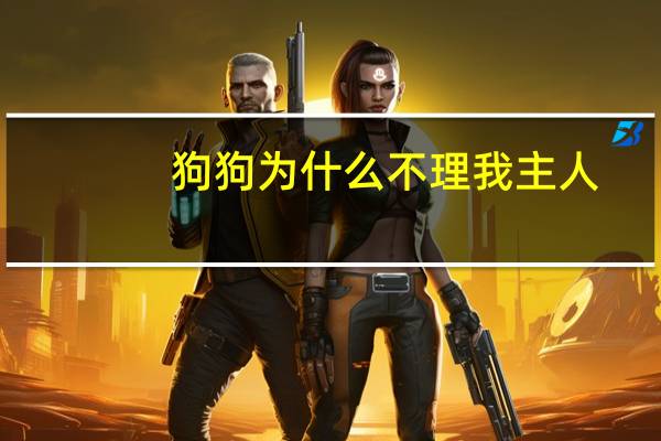 狗狗为什么不理我主人