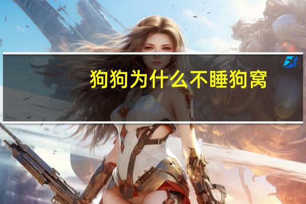 狗狗为什么不睡狗窝