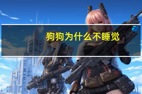 狗狗为什么不睡觉