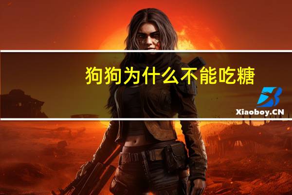 狗狗为什么不能吃糖