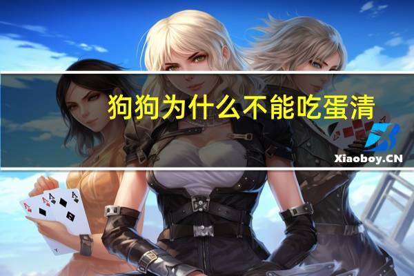 狗狗为什么不能吃蛋清
