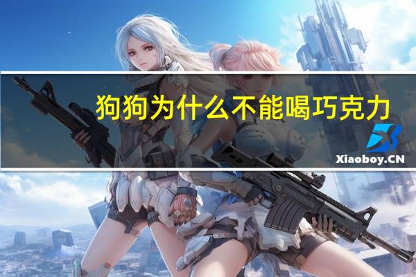 狗狗为什么不能喝巧克力