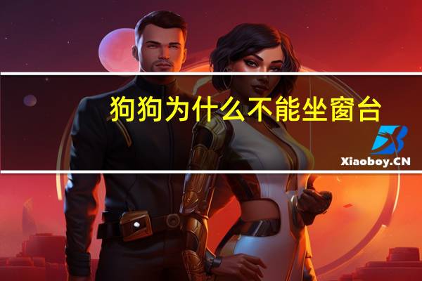 狗狗为什么不能坐窗台