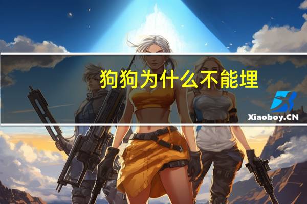 狗狗为什么不能埋