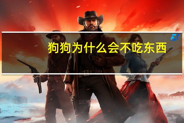 狗狗为什么会不吃东西