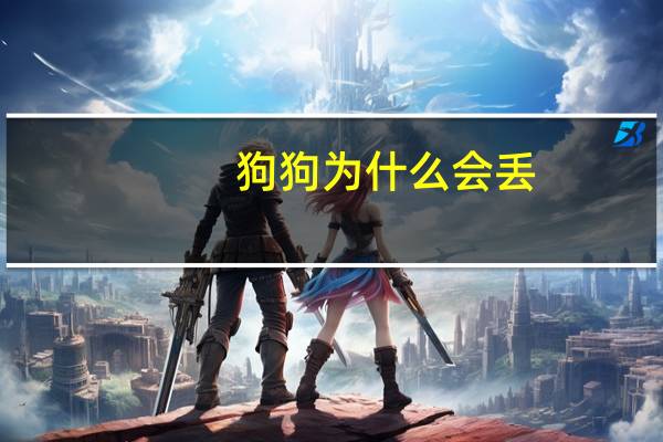 狗狗为什么会丢