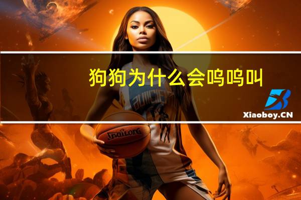 狗狗为什么会呜呜叫