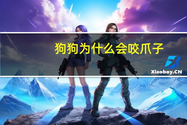 狗狗为什么会咬爪子