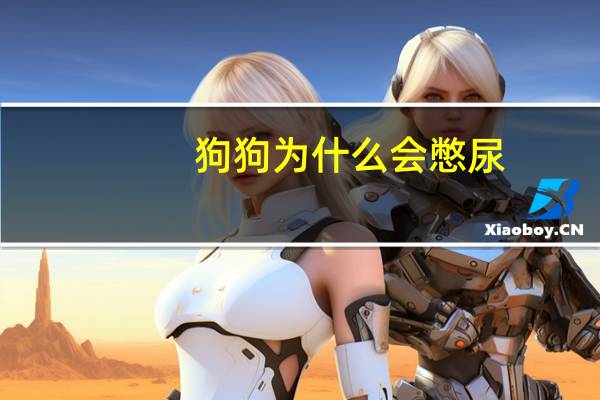 狗狗为什么会憋尿