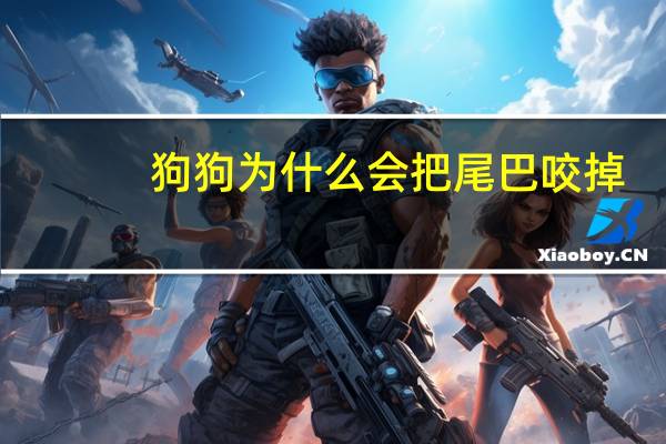 狗狗为什么会把尾巴咬掉