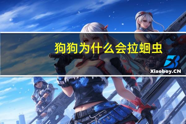 狗狗为什么会拉蛔虫